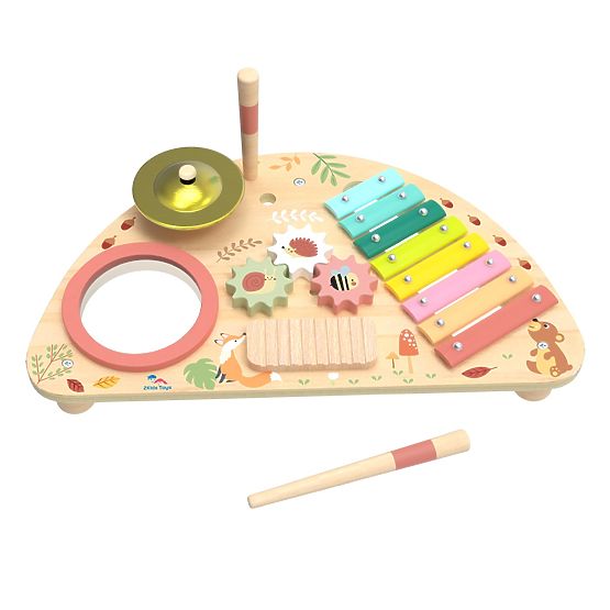 2Kids Toys Placă muzicală multifuncțională