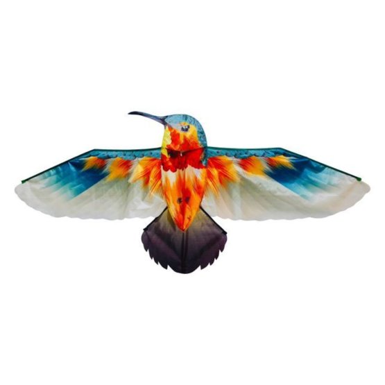 Dragon Zburător - Pasăre colibri