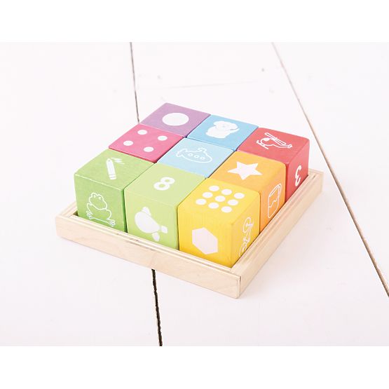 Bigjigs Baby Blocuri de lemn cu poze