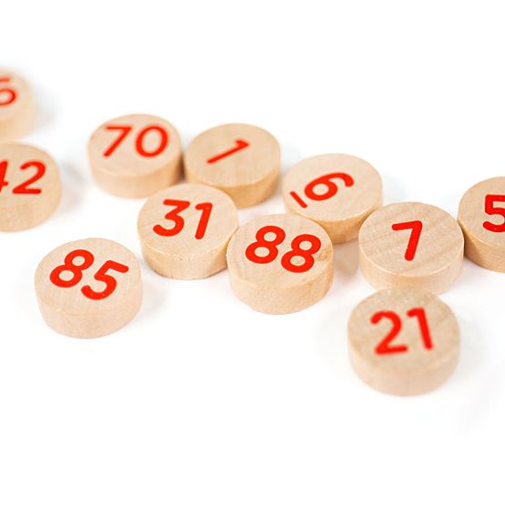 Bigjigs Toys Bingo Tradițional