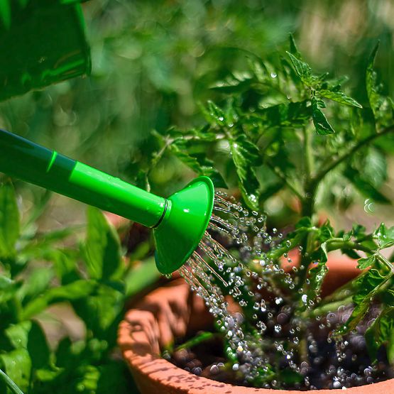 Bigjigs Toys Garden ceainic verde