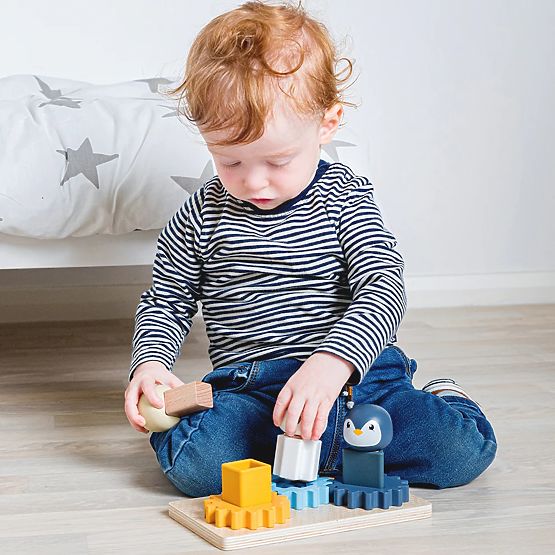 Bigjigs Toys Placă Motorică Arctic