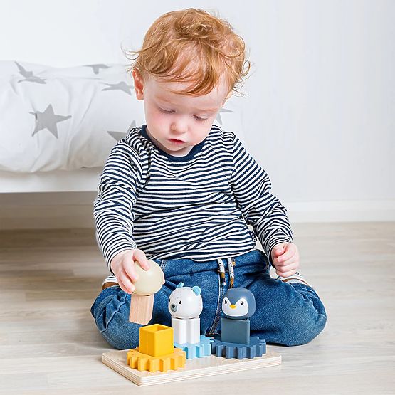 Bigjigs Toys Placă Motorică Arctic