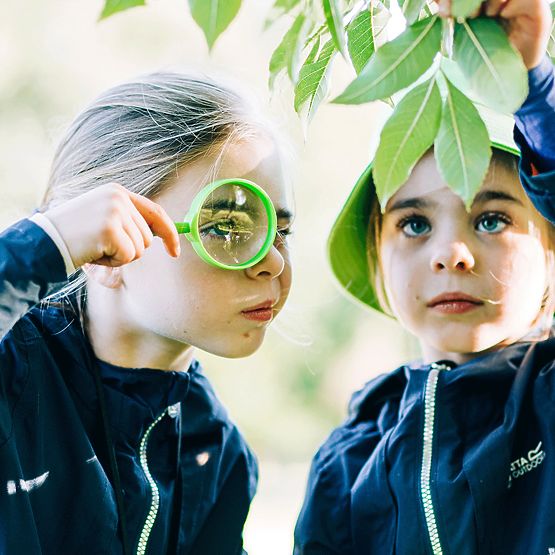 Kit de jucării Bigjigs pentru prinderea insectelor