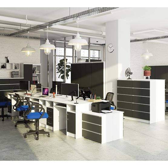 BIROU ANA PK ALB / GRI