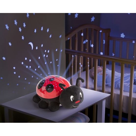 Buburuza prieten la somn