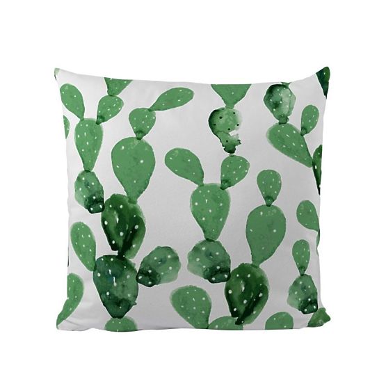 Cactuși de pernă Butter Kings