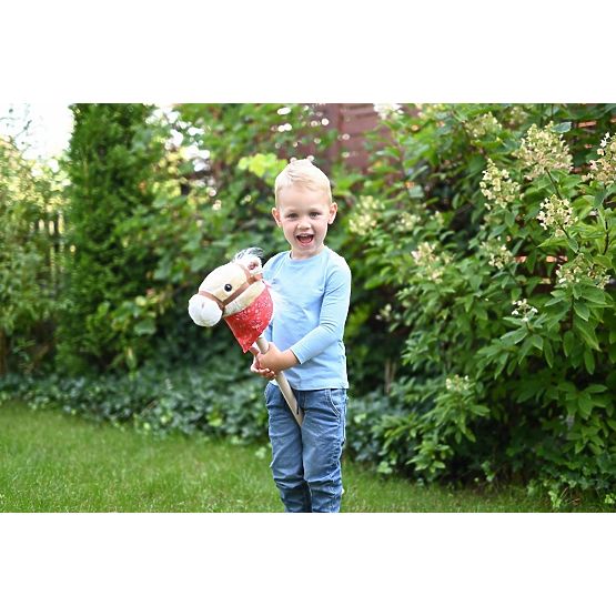 Cal pe băț Achał Hobby Horse