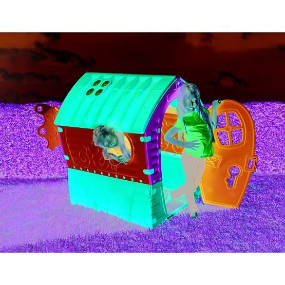 Casa de vis cu gradina