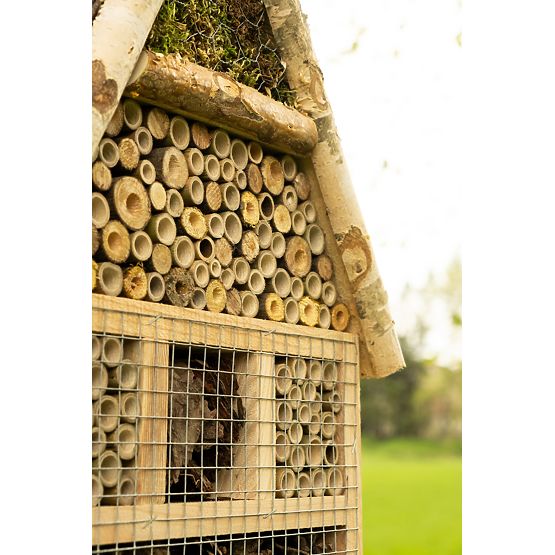 Casa pentru insecte - hotel XXL