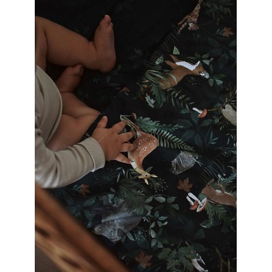 Foaie de comandă cu umplere Viața în pădure