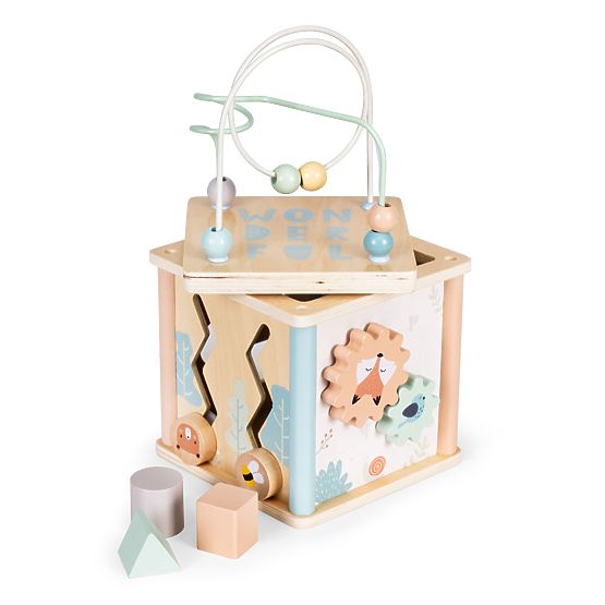Cub educativ din lemn cu forme ECOTOYS