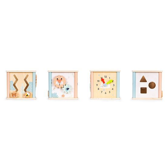 Cub educativ din lemn cu forme ECOTOYS