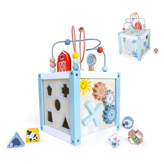 Cub educativ din lemn cu sortator + cuburi ECOTOYS