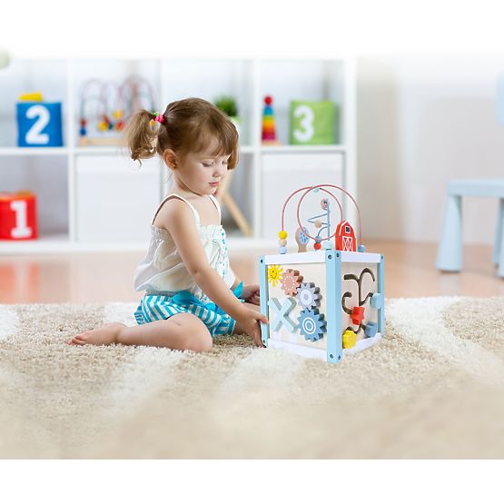 Cub educativ din lemn cu sortator + cuburi ECOTOYS