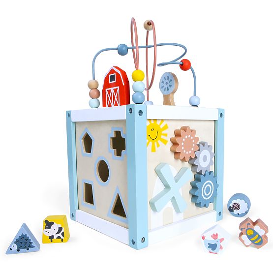 Cub educativ din lemn cu sortator + cuburi ECOTOYS