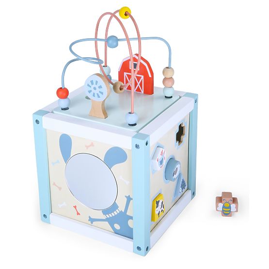 Cub educativ din lemn cu sortator + cuburi ECOTOYS