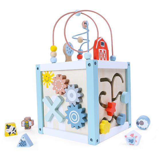 Cub educativ din lemn cu sortator + cuburi ECOTOYS