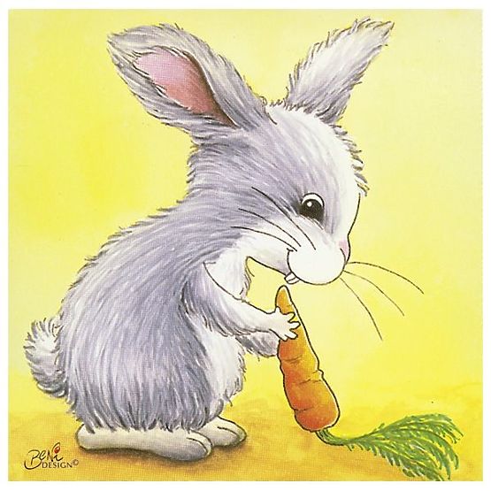 Cuburi cu imagini de animale