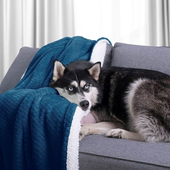 Cuvertură SHLEEPY culoare indigo, stil clasic cu model jacquard 130x180