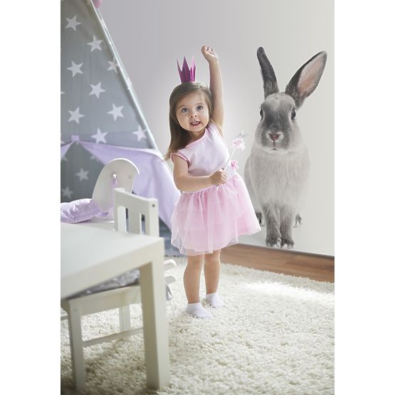 Decor de perete DEKORNIK - Rabbit Harry