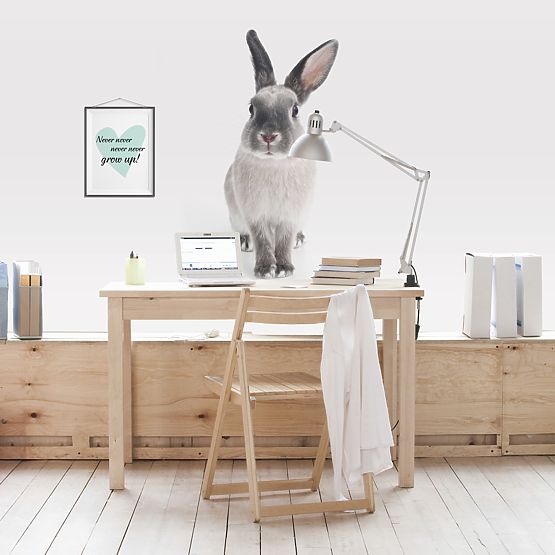 Decor de perete DEKORNIK - Rabbit Harry