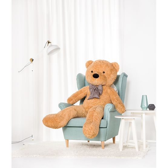 Gustav – ursulețul de miere