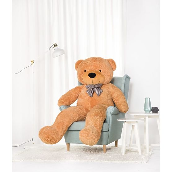 Gustav – ursulețul de miere