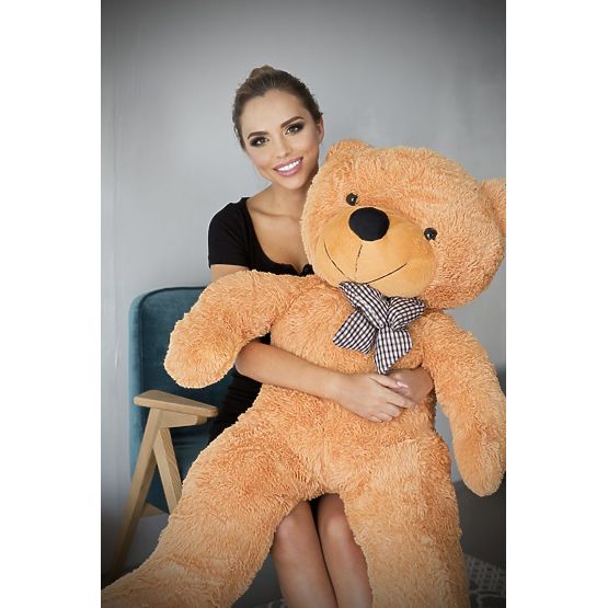 Gustav – ursulețul de miere