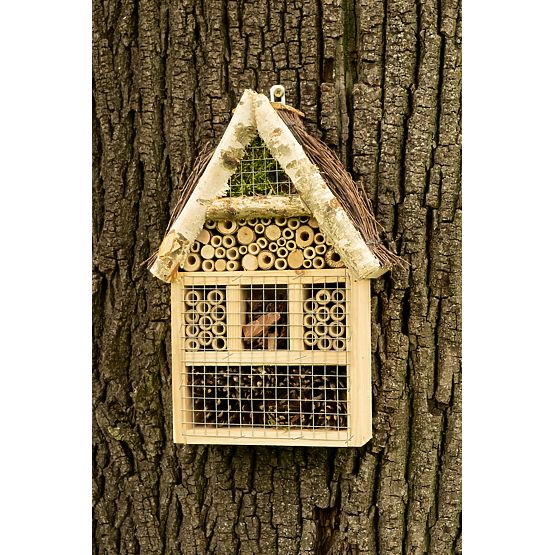 Casa de insecte zburătoare