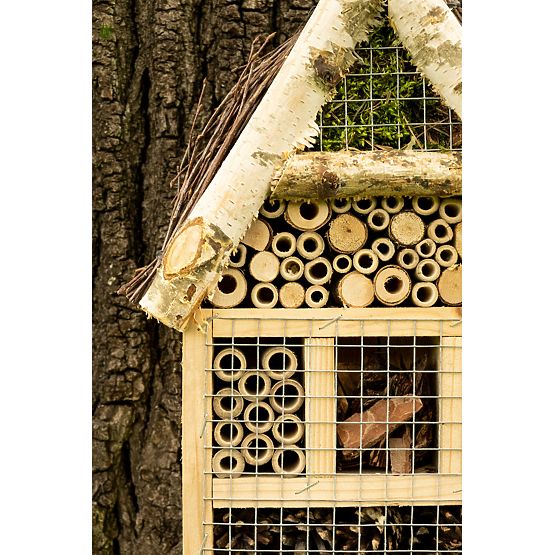 Casa de insecte zburătoare