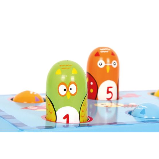 Ciocan de lemn păsări