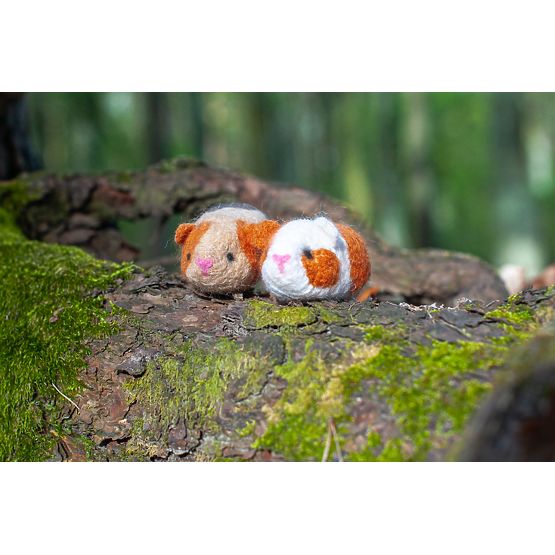 Kit pentru împâslire - Cobai