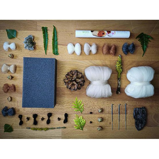 Kit pentru împâslire - Cobai