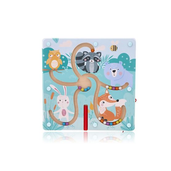Labirint magnetic pădure