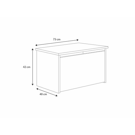 Ladă de jucării Daria albă cu imprimeu Prințesă