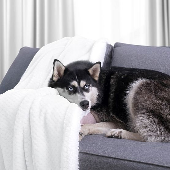 Pătură SHLEEPY albă cu relief jacquard stil clasic 220x240