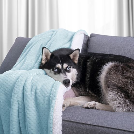 Pătură SHLEEPY albastră cu model jacquard stil clasic 130x180