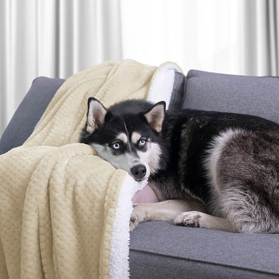 Pătură SHLEEPY culoare bej cu model jacquard stil clasic 220x240