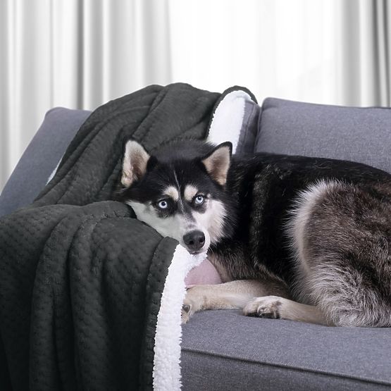 Pătură SHLEEPY culoare grafit, stil clasic, 170x210, jacquard reliefat