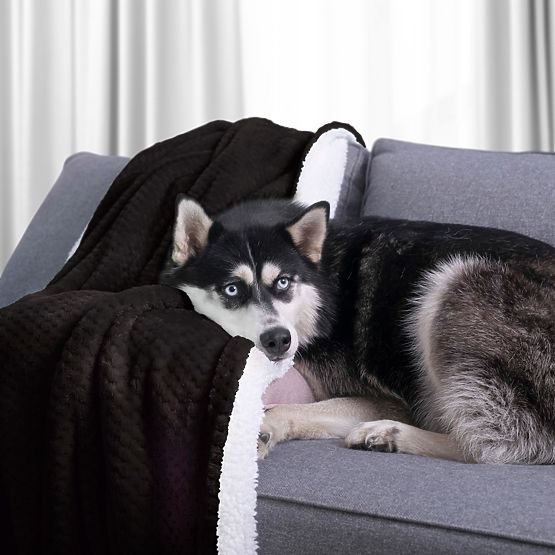 Pătură SHLEEPY neagră cu model jacquard stil clasic 130x180