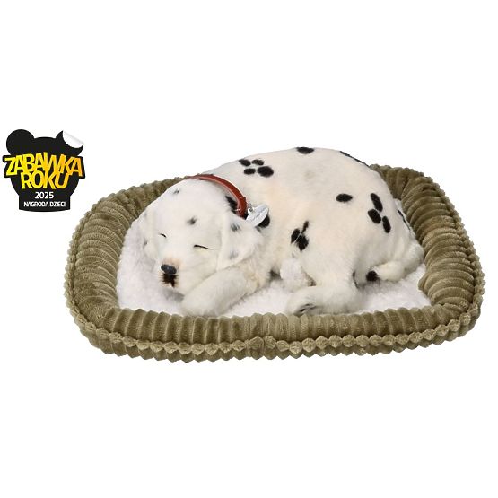 Perfect Petzzz Adoptați un dalmațian care respiră