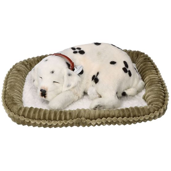 Perfect Petzzz Adoptați un dalmațian care respiră
