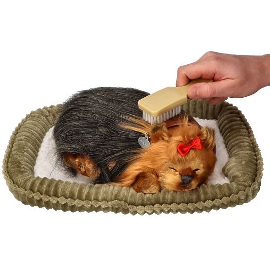 Perfect Petzzz Cățeluș Sforăitor York