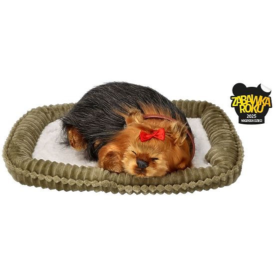 Perfect Petzzz Cățeluș Sforăitor York