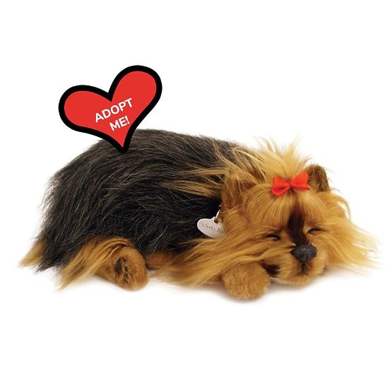 Perfect Petzzz Cățeluș Sforăitor York