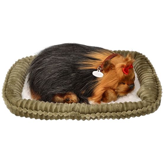 Perfect Petzzz Cățeluș Sforăitor York