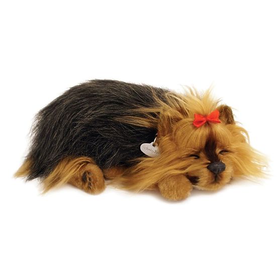 Perfect Petzzz Cățeluș Sforăitor York