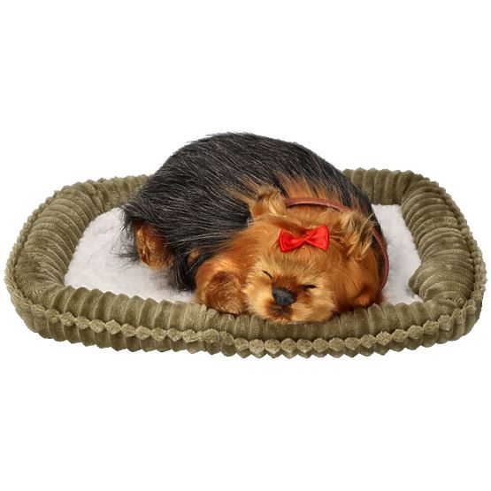 Perfect Petzzz Cățeluș Sforăitor York