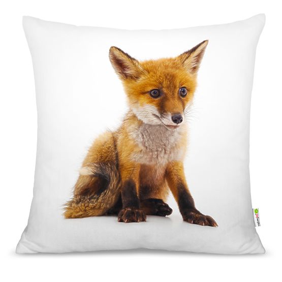 Perna FOX 01
